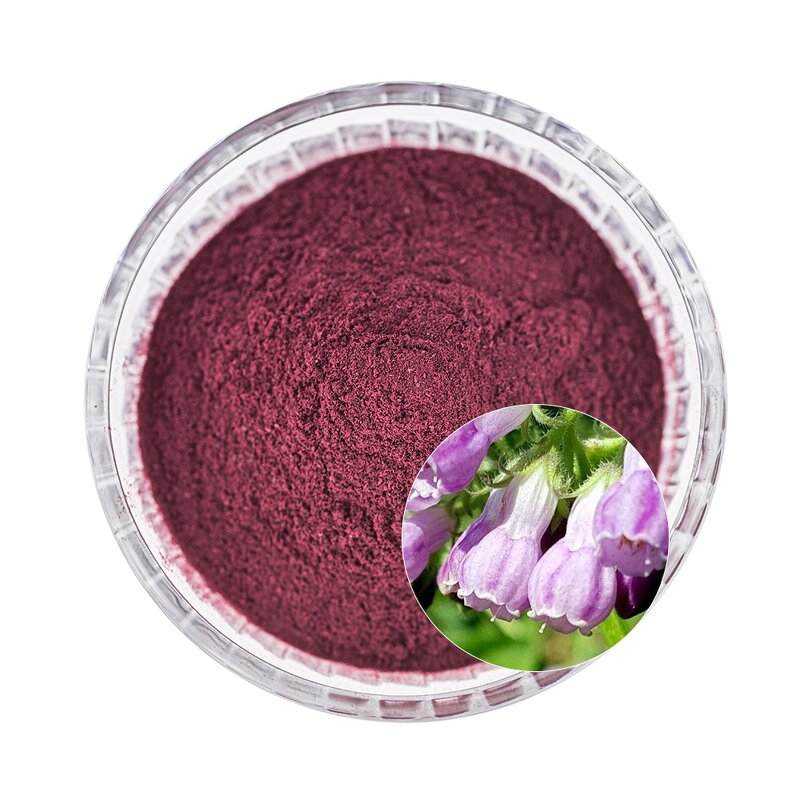 Lithospermum Extract Powder Manufacturer - Organic Natural Shikonin for Energy