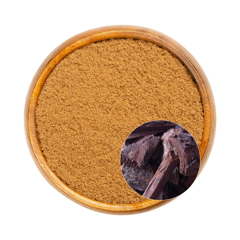 Pygeum Africanum Extract Powder Manufacturer - High Purity 2.5% for Male Fertility