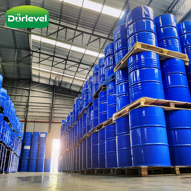 Pomegranate Fruit Extract Powder Manufacturer - High Purity Food Grade Antioxidant Wholesale