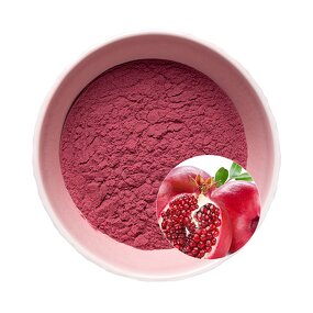 Pomegranate Fruit Extract Powder Manufacturer - High Purity Food Grade Antioxidant Wholesale