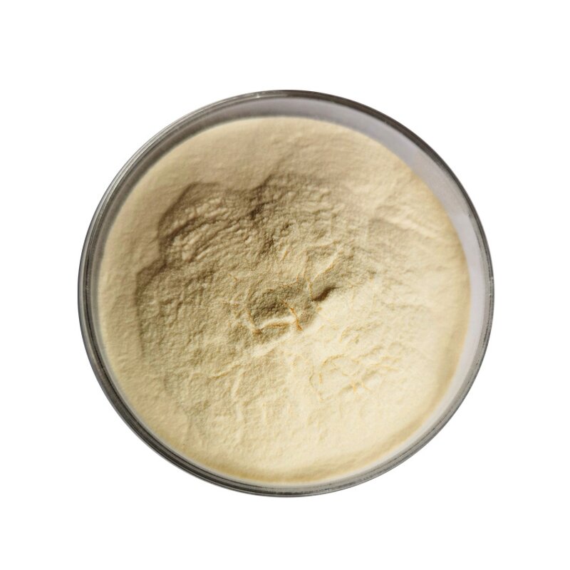 Ginger Extract - Manufacturer Organic Gingerols Natural Pure Powder
