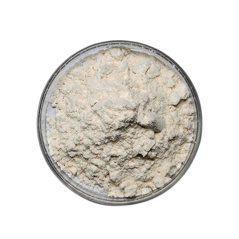 Epsilon-polylysine - Manufacturer CAS25104-18-1 Wholesale Food Grade