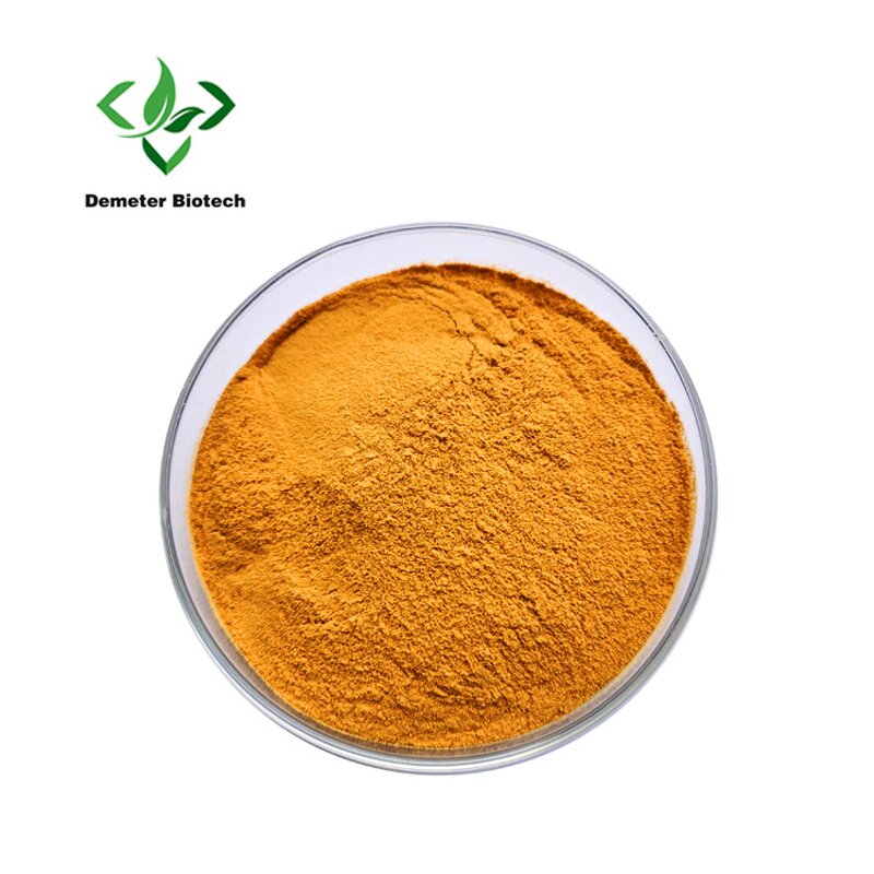 Curcumin Powder - Manufacturer 95% Turmeric Extract Pure Natural