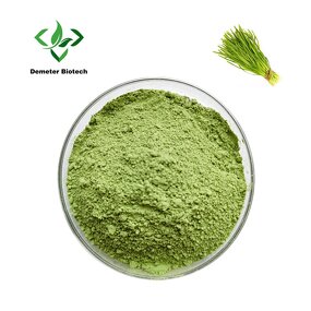 Barley Grass Powder - Manufacturer Free Sample Bulk Organic Juice Extract