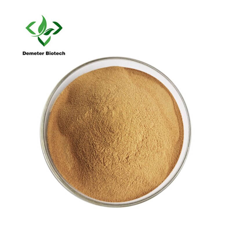 Flax Seed Extract - Manufacturer Wholesale Pure Organic Powder