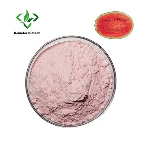 Watermelon Powder - Manufacturer 100% Water Soluble Food Grade Extract
