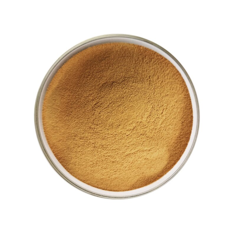 Leek Seed Extract - Manufacturer 100% Pure Natural High Quality Powder