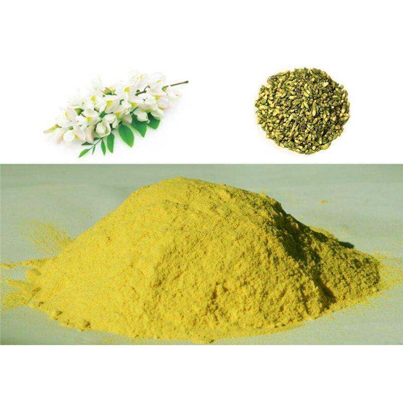 Sophora Japonica Extract - Manufacturer 98% Quercetin Natural Powder