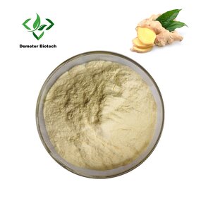 Ginger Extract - Manufacturer Organic Gingerols Natural Pure Powder