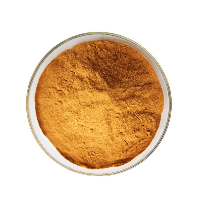 Curcumin Powder - Manufacturer 95% Turmeric Extract Pure Natural