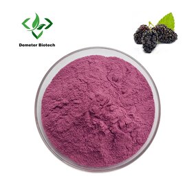 Mulberry Juice Powder - Manufacturer 100% Water Soluble Pure Natural