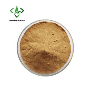 White Tea Powder - Manufacturer High Quality Instant Extract Pure