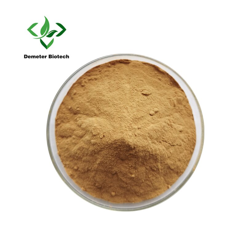 White Tea Powder - Manufacturer High Quality Instant Extract Pure