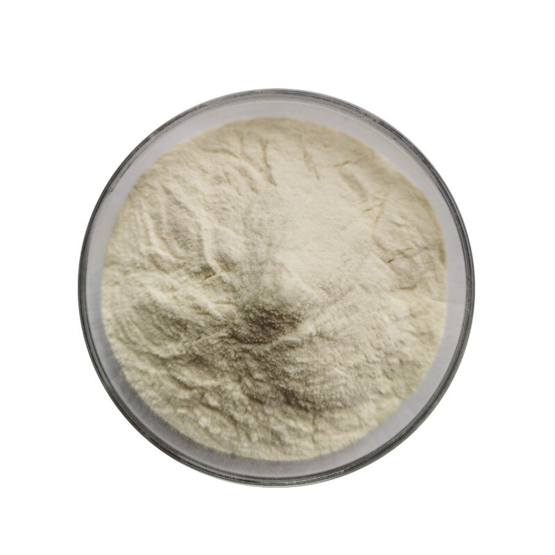 Chitosan Powder - Manufacturer Food Grade Thickener Nutrient Enhancer