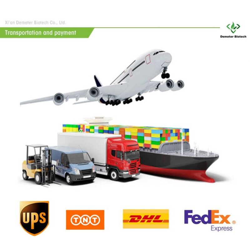 Barley Grass Powder - Manufacturer 1000 Mesh High Quality Juice Extract