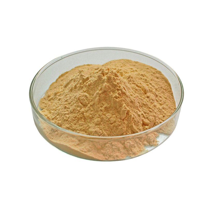 Sea Buckthorn Powder - Manufacturer 100% Water Soluble Food Grade