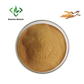Cordyceps Powder - Manufacturer Food Grade Herbal Extract Multi-Packaging