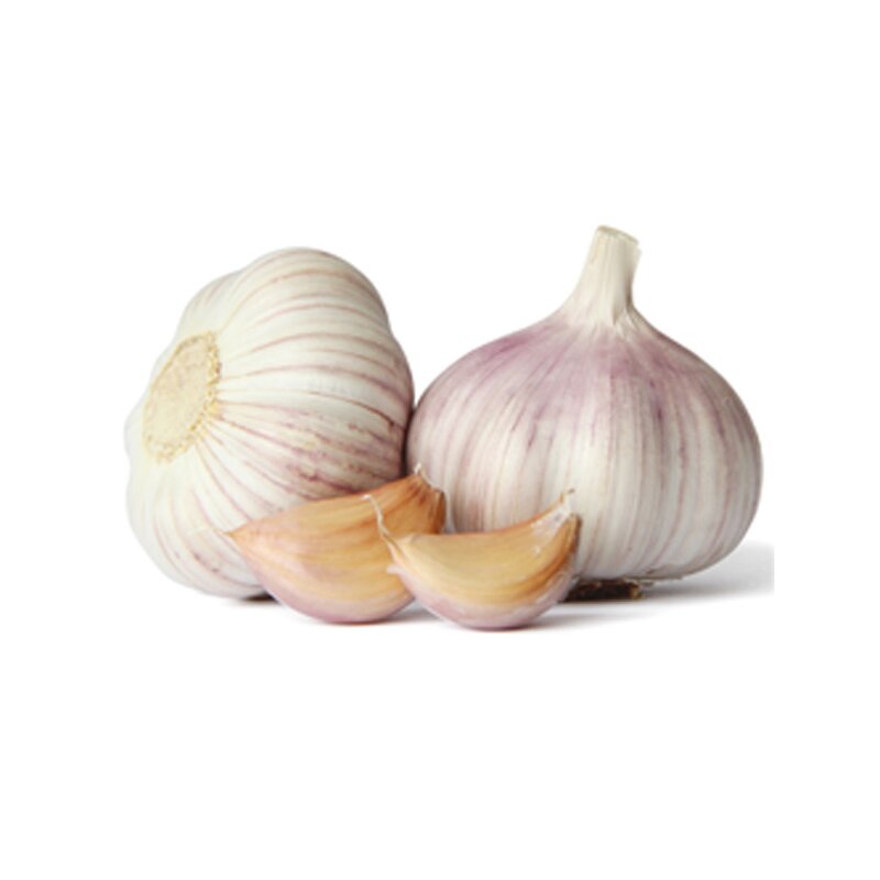 Garlic Powder - Manufacturer Wholesale Food Grade Fresh Dehydrated Pure