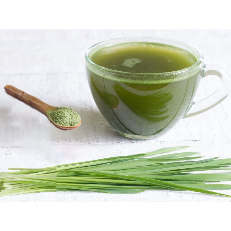 Barley Grass Powder - Manufacturer 1000 Mesh High Quality Juice Extract