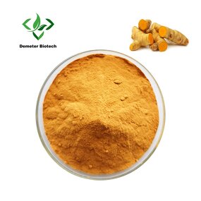 Curcumin Powder - Manufacturer 95% Turmeric Extract Pure Natural