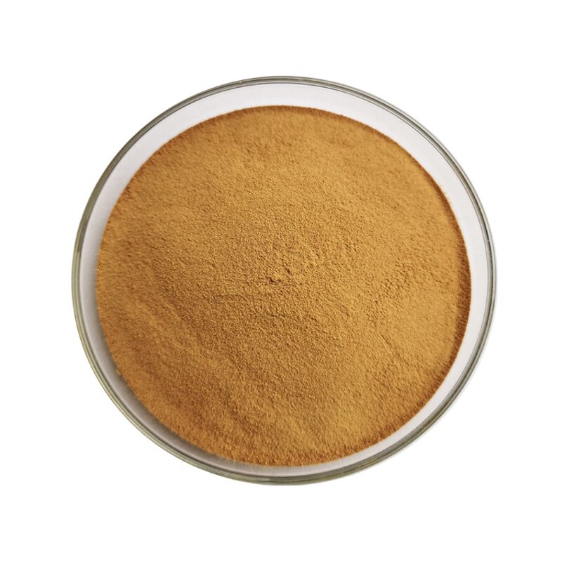 Dodder Seed Extract - Manufacturer Wholesale 100% Natural Semen Cuscutae
