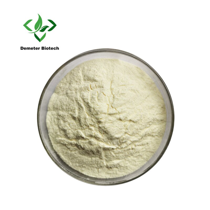 Chitosan Powder - Manufacturer Food Grade Thickener Nutrient Enhancer