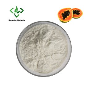 Papain Enzyme - Manufacturer High Quality Papaya Extract Pure Powder