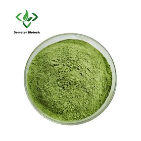 Celery Juice Powder - Manufacturer Food Grade Vegetable Multi-Packaging