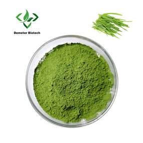 Barley Grass Powder - Manufacturer Bulk Organic Green Juice Extract Pure