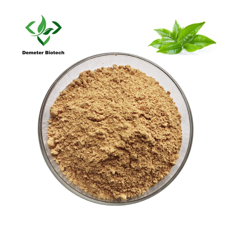 Green Tea Extract - Manufacturer 95% Polyphenols 40% EGCG Powder