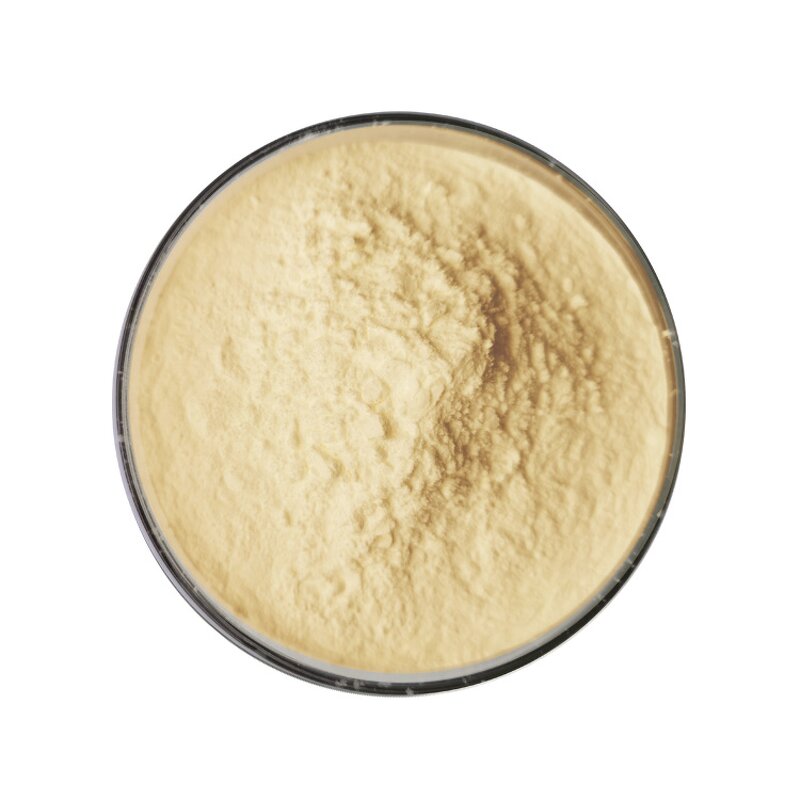 Orange Juice Powder - Manufacturer 100% Water Soluble Pure Natural