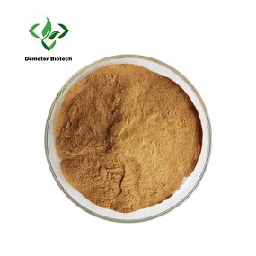 Bacopa Extract - Manufacturer 10%-50% Bacopasides Monnieri Powder Bulk