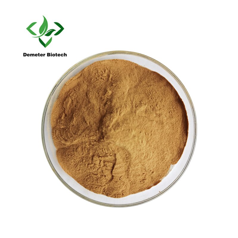Bacopa Extract - Manufacturer 10%-50% Bacopasides Monnieri Powder Bulk