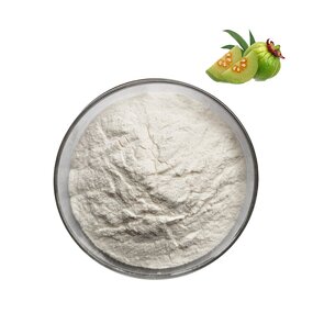 Garcinia Cambogia - Manufacturer 50%-60% HCA Food Grade Weight Loss