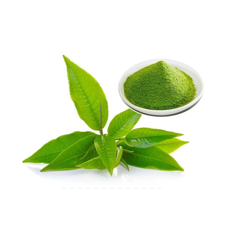 Matcha Powder - Manufacturer Organic Ceremonial Grade Green Tea Pure