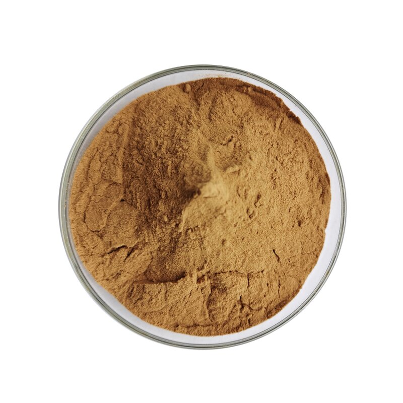 Tribulus Extract - Manufacturer 90% Saponins Vacuum Packed Herbal Powder