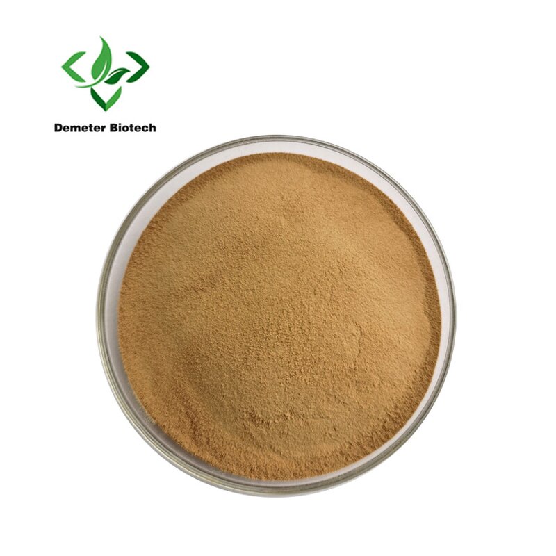 Dodder Seed Extract - Manufacturer Wholesale 100% Natural Semen Cuscutae