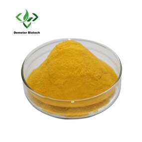 Sea Buckthorn Powder - Manufacturer 100% Water Soluble Food Grade