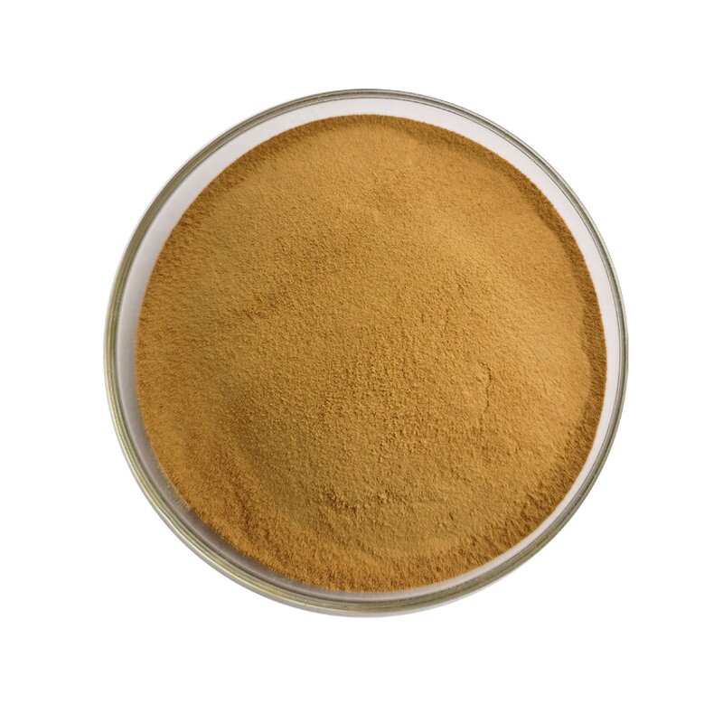 Leek Seed Extract - Manufacturer 100% Pure Natural High Quality Powder