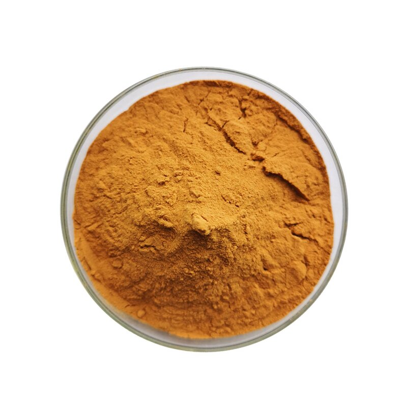 Curcumin Powder - Manufacturer 95% Turmeric Extract Pure Natural