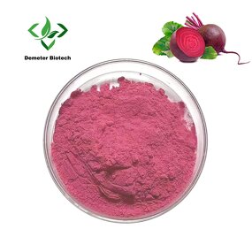 Beetroot Powder - Manufacturer Bulk Organic Food Grade Red Juice Extract