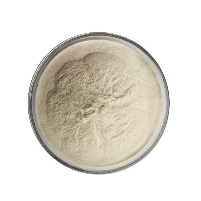 Wild Yam Extract - Manufacturer 98% Diosgenin Natural Pure Powder