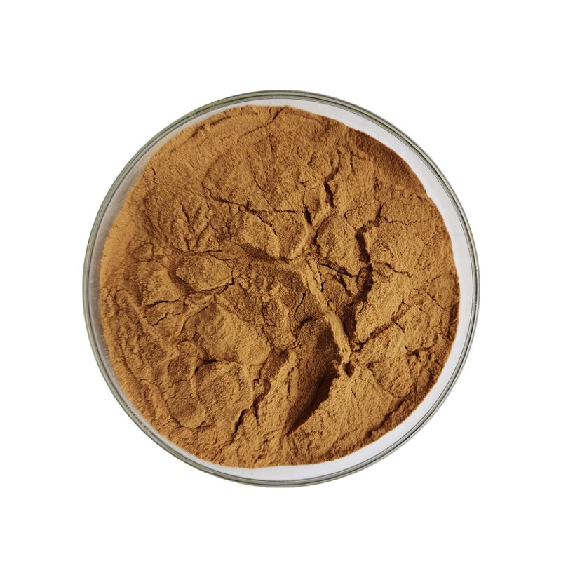 Holly Extract - Manufacturer Natural Instant Chinese Pure Powder