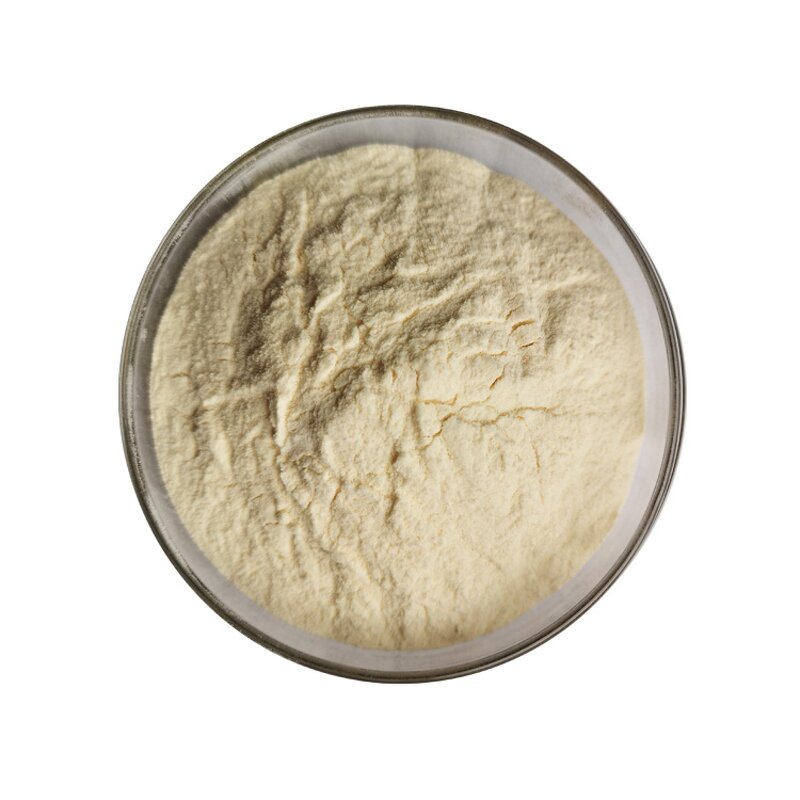 Ginseng Extract - Manufacturer Ginsenosides Korean Red Siberian Root