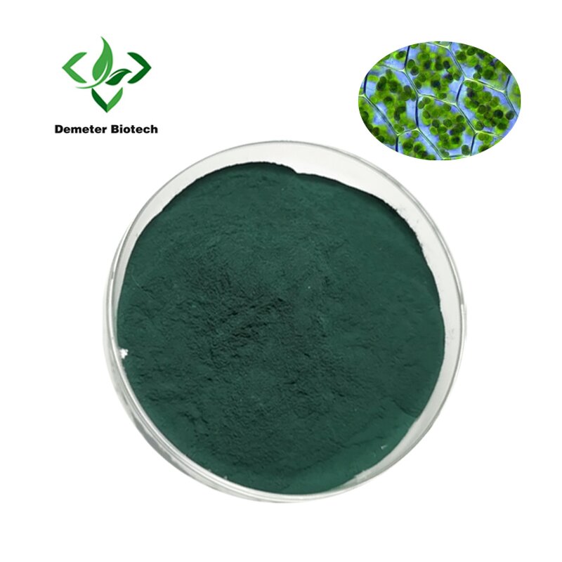 Chlorophyll Powder - Manufacturer Natural Food Grade Multi-Packaging