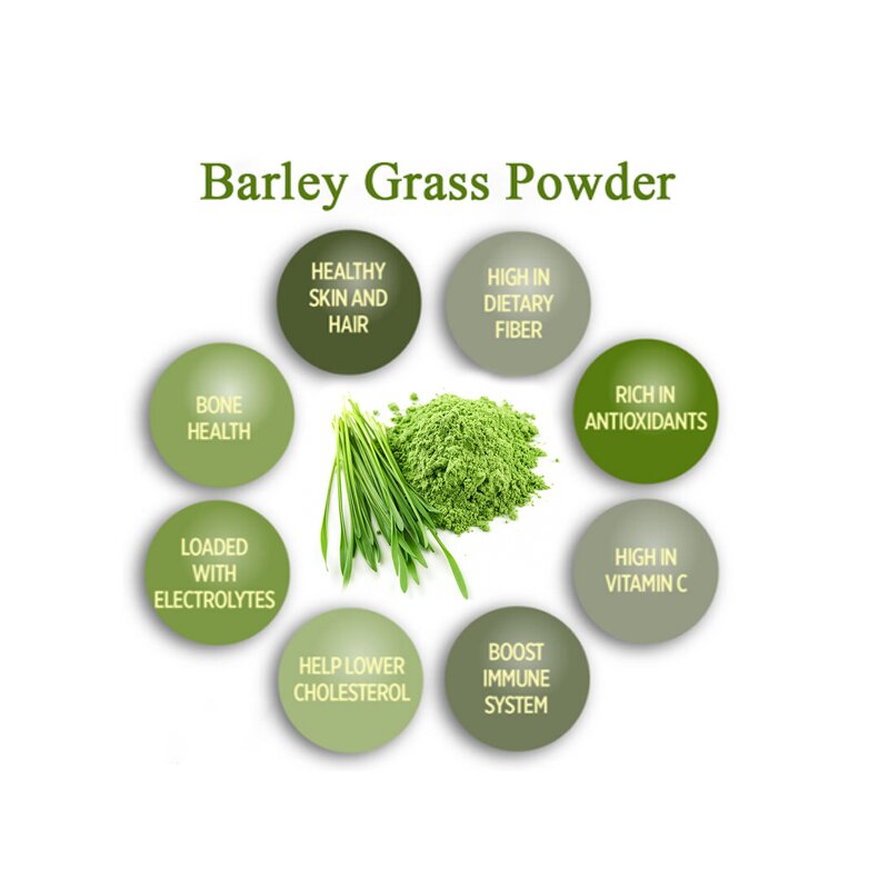 Barley Grass Powder - Manufacturer 1000 Mesh High Quality Juice Extract