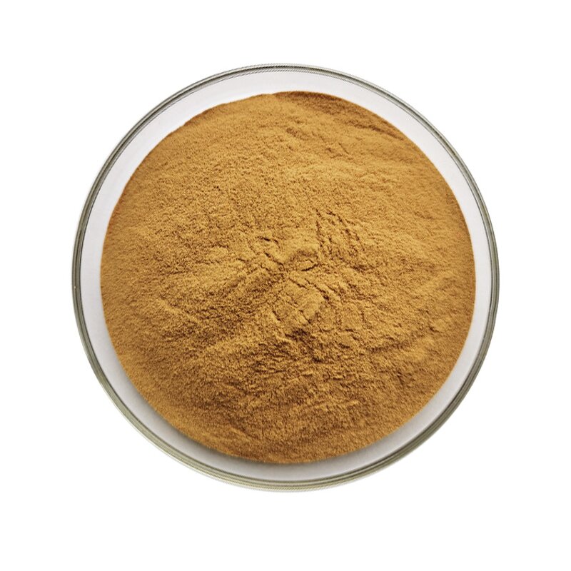 Bacopa Extract - Manufacturer 10%-50% Bacopasides Monnieri Powder Bulk