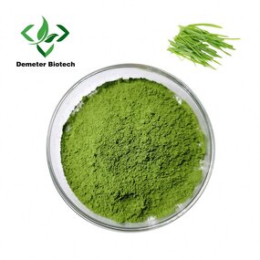 Barley Grass Powder - Manufacturer 1000 Mesh High Quality Juice Extract
