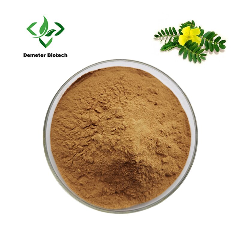 Tribulus Extract - Manufacturer 90% Saponins Vacuum Packed Herbal Powder