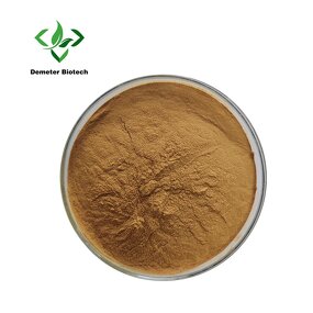 Holly Extract - Manufacturer Natural Instant Chinese Pure Powder